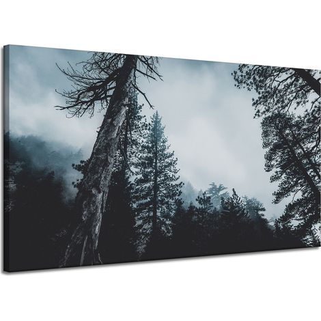 Leinwanddruck Natur Baumkronen 120x70 cm