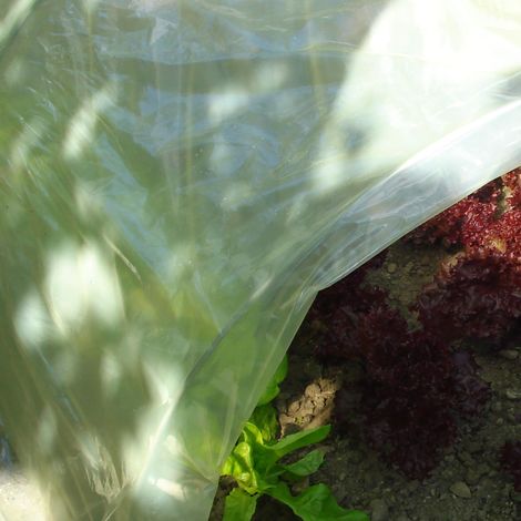 TENAX Sun Film, 2,00x5 m Giallo Film Protettivo Impermeabile in Plastica per Copertura Tunnel e Serrette, Protezione Colture Orto (1/5)