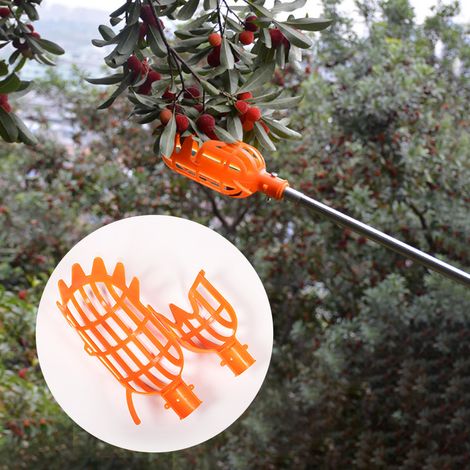 Cabezal recolector para fruta alta, recolector de fruta universal para jardín y huerto. (1/3)