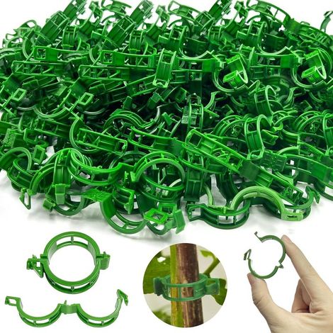 250 attaches pour tomates et plantes grimpantes, idéales pour le jardinage, idéales pour soutenir la culture des tomates et des légumes. (1/5)