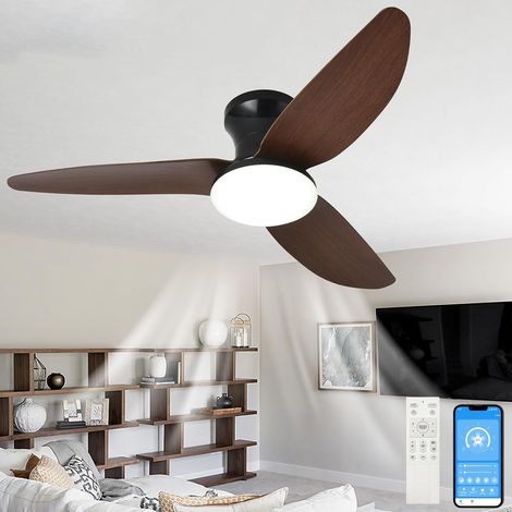 Ventilateur de plafond 100 cm avec lumière, télécommande/contrôle par application, gradation continue, 6 vitesses de vent, minuterie, réversible (1/5)