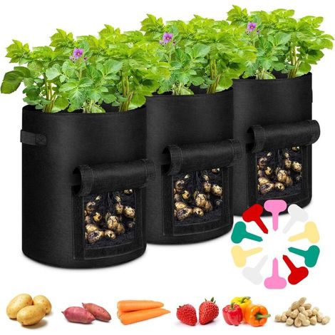 APEX - Sacs de culture pour pommes de terre (lot de 3), 7 gallons (26,5 litres), en non-tissé, pour la culture de pommes de terre, tomates, fraises et autres légumes. (1/5)