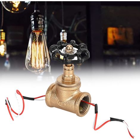 Vintage-Industrie-Retro-Steampunk-Lampenschalter, schwarz, 3/4 Zoll, mit roten und weißen Kabeln, für Zuhause oder Werkstatt (1/5)