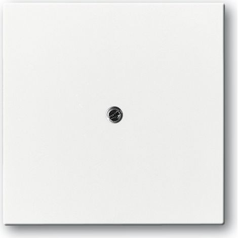 Plaque de finition Busch-Jaeger 1710-0-3173 design conventionnel blanc