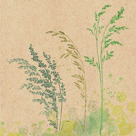 Braun & Company Servietten natur grün 33 x 33 cm - 20er Pack Partydekoration