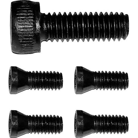 Jeu de vis Torx pour DBS05820 MW-Tech TORXS05820