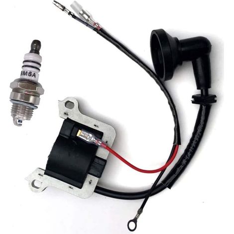 Bobina di accensione con candela per decespugliatore Florabest FBK 4 B2 4 in 1 (1/5)