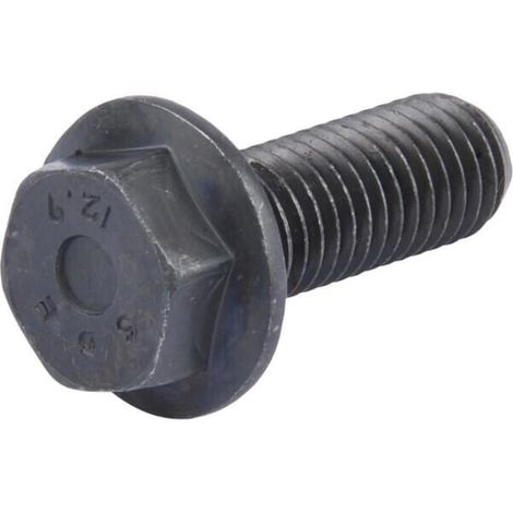 Vis CARRARO CI125827 (1/2)