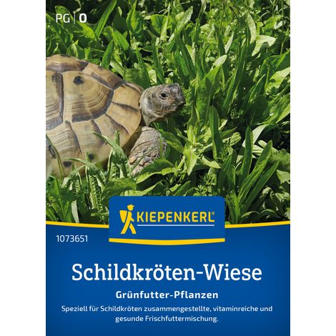 Kiepenkerl Saatgut Schildkröten-Mischung Grünfutter-Pflanzen für ca. 1-2 m²