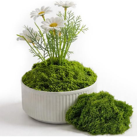 Mousse Artificielle Verte 200g pour Décoration de Terrarium et Pots de Fleurs (1/5)