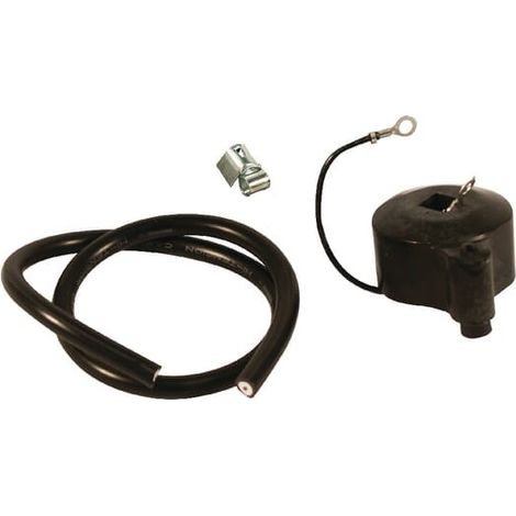 Bobine d'allumage ALPINA FGP001202 (1/2)