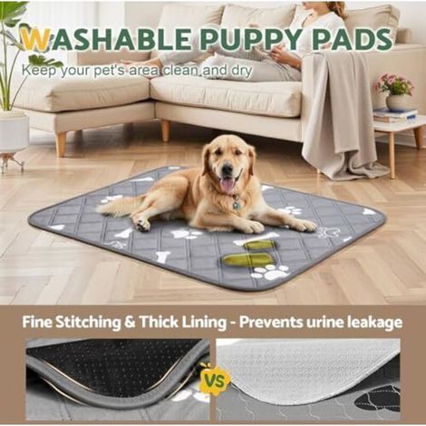 Tapis Éducateur pour Chien Lavable Réutilisable, Lot de 2 (100×70cm), Tapis Ultra Absorbant Anti-Fuites et Antidérapant, Convient aux Chiens, Chats, Cochons d'Inde et Lapins (1/5)