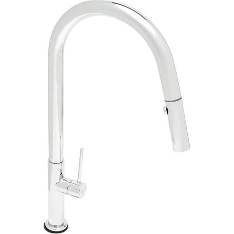 Swiss Aqua Technologies Einhebelmischer mit ausziehbarer Brause und Schwenkarm, 2 Düsen, Chrom (SATBSD288)