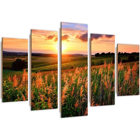 Quadro deco panel 5 parti, Tramonto su un prato - 100x70 (1/5)