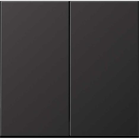 Tecla doble para interruptor o pulsador DARK JUNG AL 2995 D