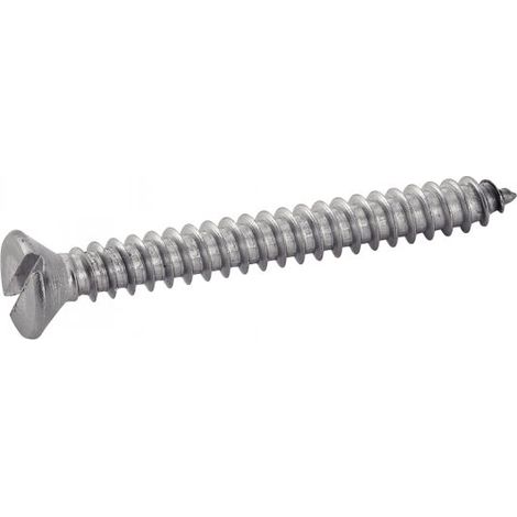 Vis à tôle tête fraisée fondue A2 DIN 7972 5,5X13 boîte de 200 - ACTON - 624035,5X13