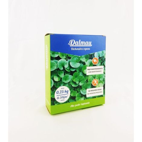 Semillas de Césped  Dichondra - 1 kg (1/4)