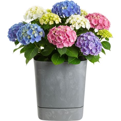 CUBI Blumentopf mit Untersetzer, recycelter, grauer Beton, 34 x 34 cm
