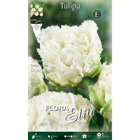 TULIPANO FIORE DOPPIO SNOW CRYSTAL CONFEZIONE DA 5 BULBI AUTUNNALI BULBS BULBES