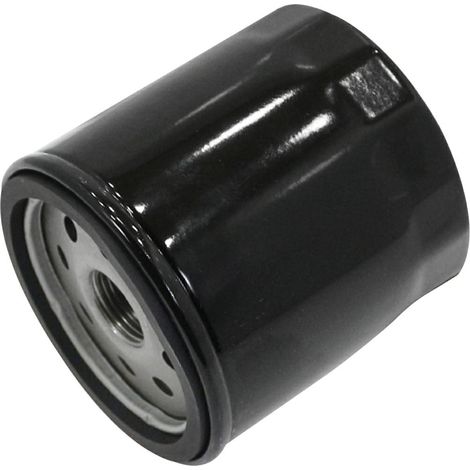 Filtro de aceite para motor de tractor de césped compatible BRIGGS & STRATTON 491056