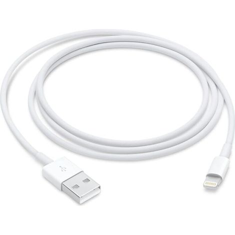 Apple Cble Lightning vers USB (1 m) (1/4)