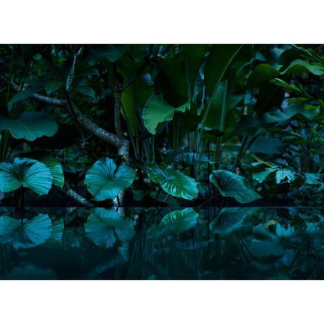 A.S. Creations – Papier peint panoramique jungle noir et vert – Motif palmiers – Décoration murale XXL – Résistant à la lumière et facile à nettoyer (1/4)