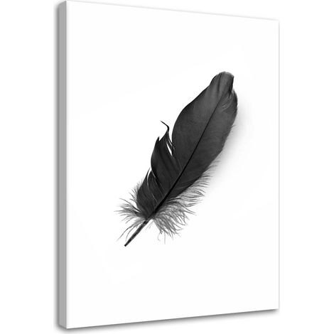 Tableau décoratif Plume Noir Nature 60x90 (1/5)