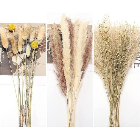 Herbe de la pampa séchée naturelle de 45 cm pour un mariage bohème, une chambre ou une décoration intérieure (1/5)