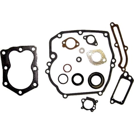 Dichtungssatz motor BRIGGS et STRATTON 496117