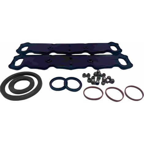 Engine overhaul kit 0197.P4 0209.1E 0135.EH Applicable to Peugeot 307, 207, and Citroën. (1/4)