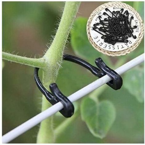 Weinrebenbinder, 100 Stück, Schlaufen-Haken, Gemüse- und Pflanzentransplantationsclips, landwirtschaftliche Gewächshausbedarf