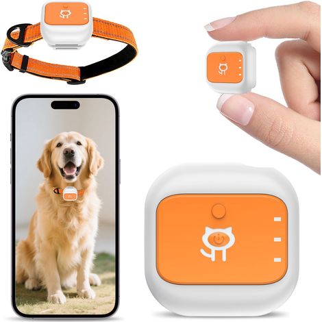 Collier Traceur GPS 4G pour Chien et Chat - 5 Modes de Localisation, Étanche IP66, Autonomie 25 Jours (1000mAh) avec Clôture Électronique et Alarme (1/5)