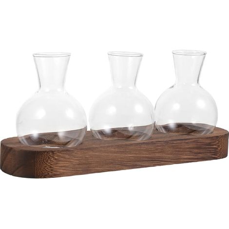 Vase en Verre Transparent pour Plantes D’Intérieur avec Base en Bois Lot de 3 Set de Vases Hydroponiques pour Bureau et Décoration de Table et Jardinage D’Intérieur (1/5)