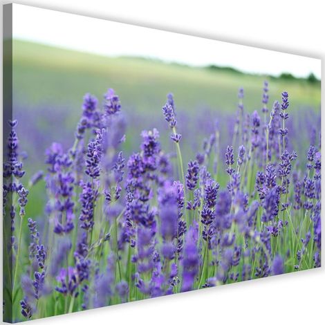 Tableau sur toile Champ de lavande Nature 60x40 (1/5)