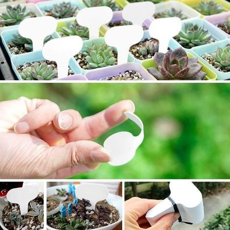 50 Pcs T-Type Plantes étiquettes blanc Étiquettes d'étiquettes de Jardin Marqueurs de Plantes en Plastique pour Herb 5 x 7 cm (1/5)