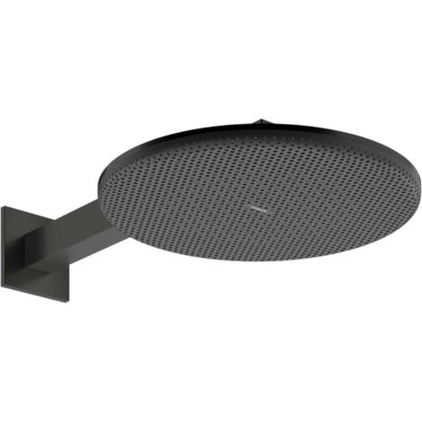 hansgrohe Raindance Alive S ducha de techo 300 2jet EcoSmart con (1/4)