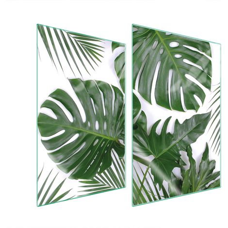 PIASTRA PROTETTIVA IN VETRO PER CUCINA 2x35x52 MONSTERA (1/5)