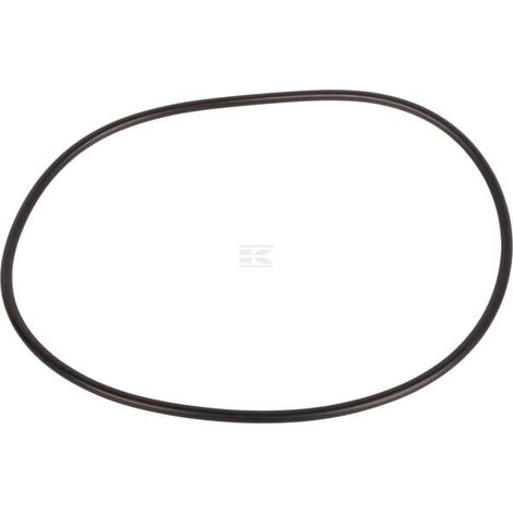 O-Ring CNH 14482980