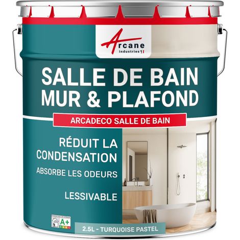 Peinture salle de bain, mur et plafond, condensation - 2.5 L Turquoise Pastel - RAL 6034 - ARCANE INDUSTRIES