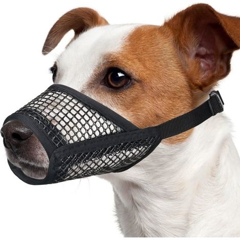 (Schwarzer) Hundemaulkorb – Größe M – Schwarz – Weiches Netzgewebe – Atmungsaktiv – Größe M (1/5)