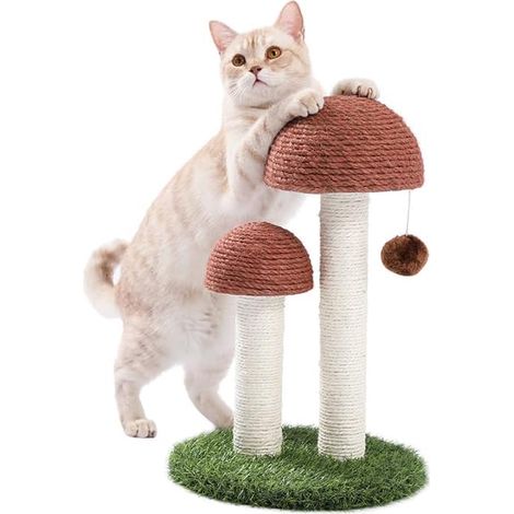 Arbre à chat en sisal naturel avec griffoir en forme de champignon, jouet interactif pour escalade et repos (1/5)