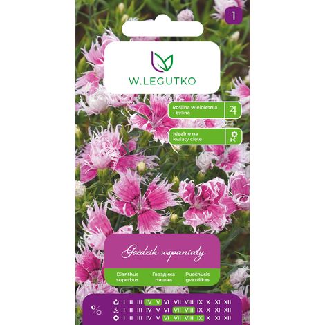 Magnifici garofani dai fiori densi nelle sfumature del rosa. Semi (1/2)