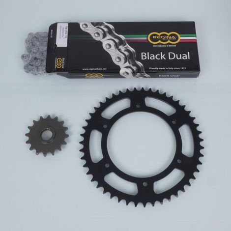 kit kette regina für motorrad aprilia 650 motorrad 6.5 stark 1995
