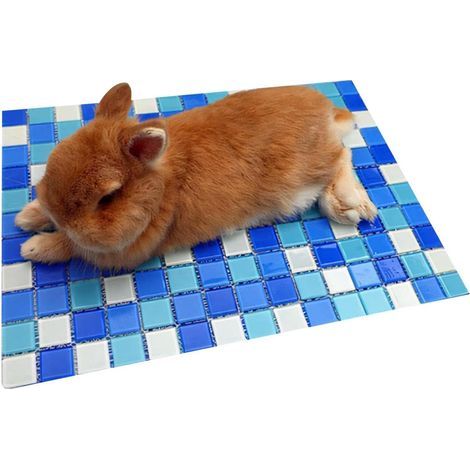 Coussin rafraîchissant pour lapin Coussin en verre léger Tapis rafraîchissant pour animal domestique Pour chiot âgé, cage de voiture, salon, chambre à coucher, maison, jeux à l'extérieur, dormir (1/5)