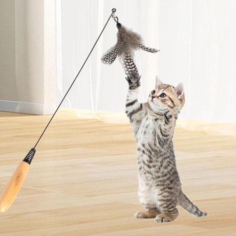 Interactive Cat Feather Fishing Wand Toy Swing Freely Like Insects With Spring Bell Attract Cat Interest