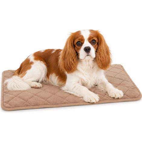 Panier Chien - Coussin Chien et Chat orthopédique Beige - Couchage mémoire de Forme idéal pour Cages métalliques - 55,5x38,5x2cm (1/5)