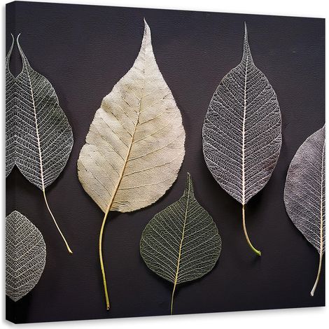 Tableau déco Minimalisme Feuilles Plantes Glamour 30x30 (1/5)