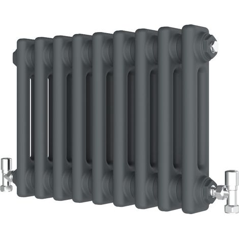 Biubiubath 300x425mm Traditional Cast Iron Style Radiator Horizontal 2 Column Anthracite (1/3)
