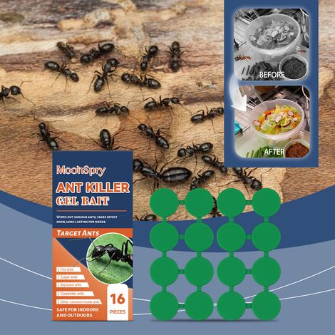Ant bait for home and kitchen use, long-lasting and multi-effect, suitable for indoor and outdoor use -- 16 PIECES -- BIEMMEDUE (1/5)