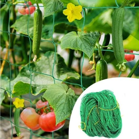 Red de enrejado para plantas trepadoras, 2 m x 5 m, soporte de fijación para plantas trepadoras, red de jardín para vegetales, tomates y pepinos. (1/4)